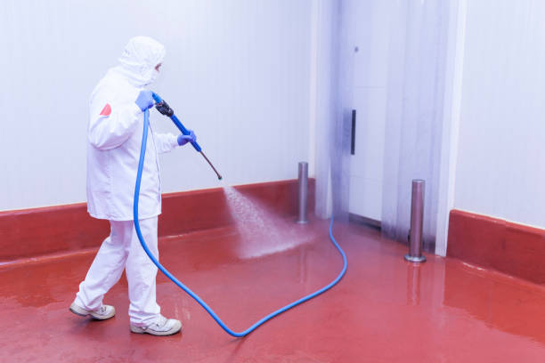 Best Spring Cleaning  in Reliez Valley, CA
